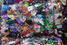 Jazz (coloured) PET bottles 